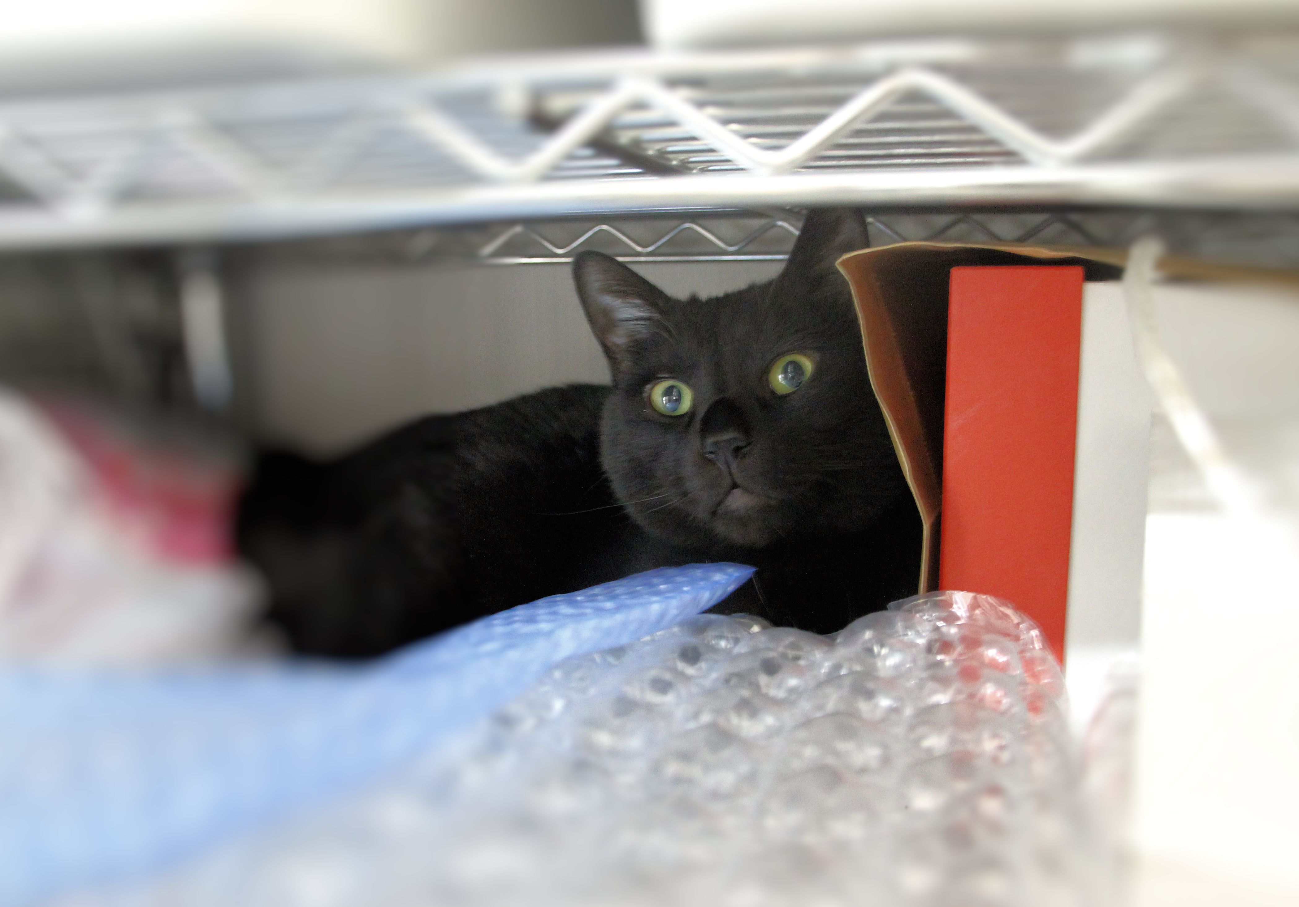 ソーシャルディスタンス?ここなら俺一人・・<br>