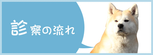 診察の流れ